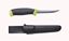 Picture of COMPANION FISH SCALER 098